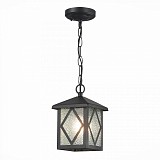 Светильник уличный подвесной ST Luce LORNE SL084.403.01