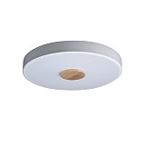 Светодиодный светильник Loft IT Axel 10003/24 White