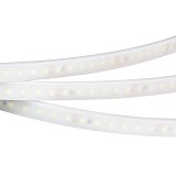 Светодиодная лента Arlight герметичная RTW-PW-A120-10mm 24V Warm2700 (9.6 W/m, IP66, 2835, 5m) (2)