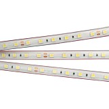 Светодиодная лента Arlight герметичная RTW-PS-B60-12mm 24V Day4000 (14.4 W/m, IP67, 5060, 5m) (2)