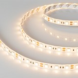 Светодиодная лента Arlight герметичная RTW-SE-B60-10mm 12V Warm3000 (14.4 W/m, IP65, 5m) (3)