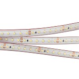 Светодиодная лента Arlight RTW 2-5000PS 24V White6000 2x (3528, 600 LED, LUX)