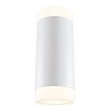 Светодиодное Бра Technical Maytoni Ceiling & Wall Dafne C027WL-L10W белый