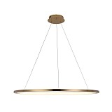 Подвесной светодиодный светильник Loft IT Ring 10014XL 1000 мм