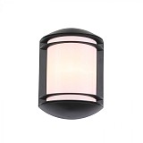 Светильник уличный настенный ST Luce AGIO SL076.401.01