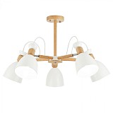 Люстра потолочная Evoluce BALCAMO SLE103802-05