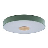 Светодиодный светильник Loft IT Axel 10003/24 Green