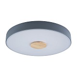 Светодиодный светильник Loft IT Axel 10003/24 Grey