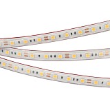 Светодиодная лента Arlight герметичная RTW-PS-B60-12mm 12V Day4000 (14.4 W/m, IP67, 5060, 5m) (2)