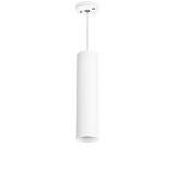 Светильник Lightstar Rullo RP496 белый 250 мм