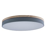 Светильник Loft IT Axel 10001/36 Grey