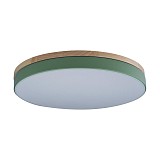 Светильник Loft IT Axel 10001/36 Green
