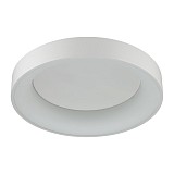 Накладной светодиодный светильник Odeon Light SOLE L-VISION 4066/40CL 450 мм 3000-6000К