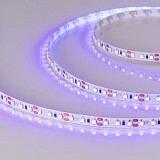 Светодиодная лента Arlight RT-A120-8mm 12V UV400 (9.6 W/m, IP20, 2835, 5m) (2)